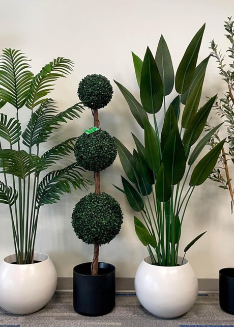 Artificial Plants