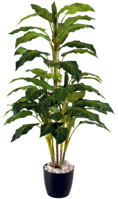 5 Real Touch Green Diffen Plant