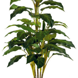 5 Real Touch Green Diffen Plant