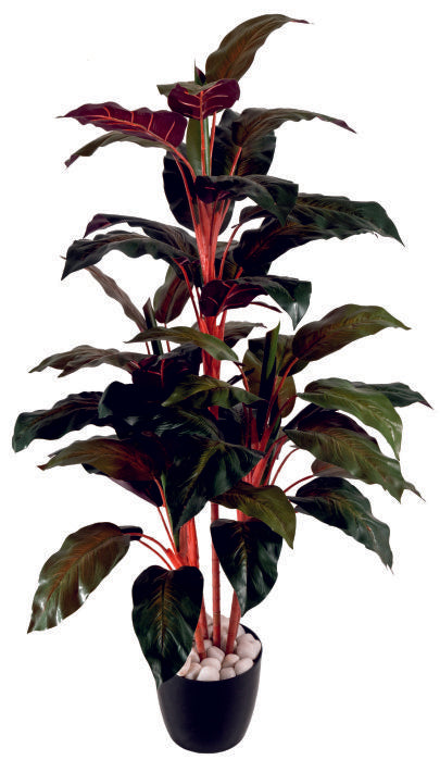 5 Real Touch Red Diffen Plant