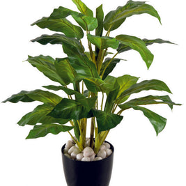 5 Real Touch Green Diffen Plant