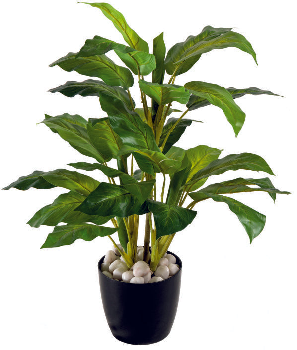 5 Real Touch Green Diffen Plant