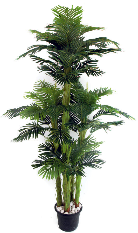 5 Head 60 Palm Leaves Plant