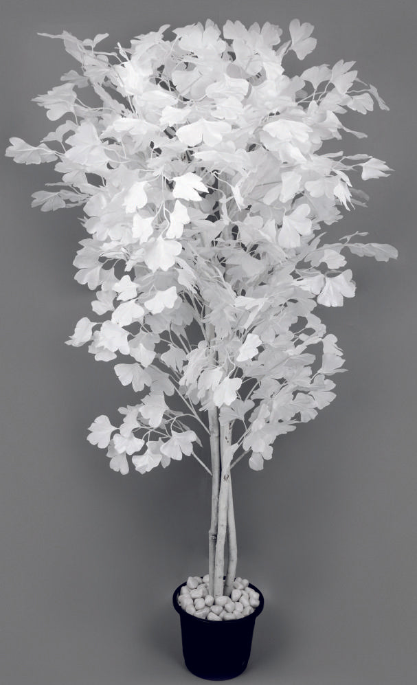 White Good Luck Tree