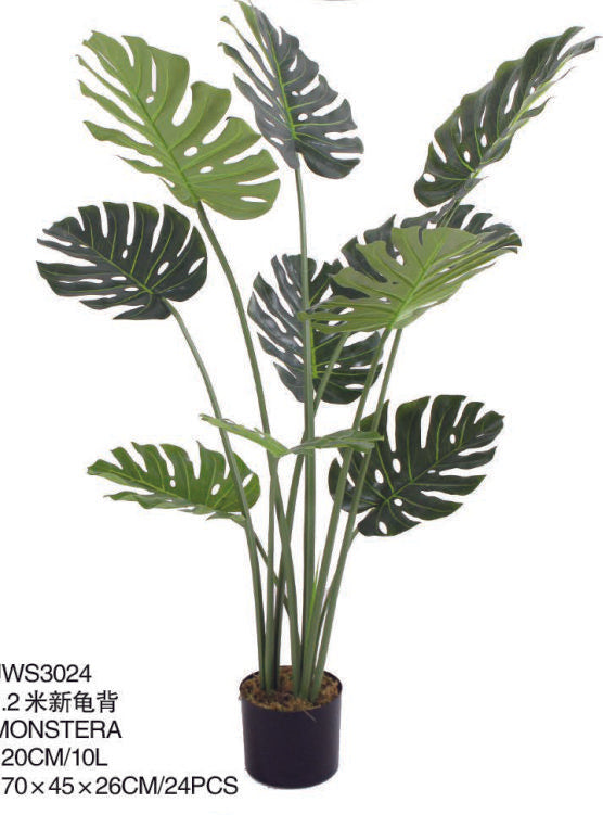 4 Feet Green Monsterra Plant