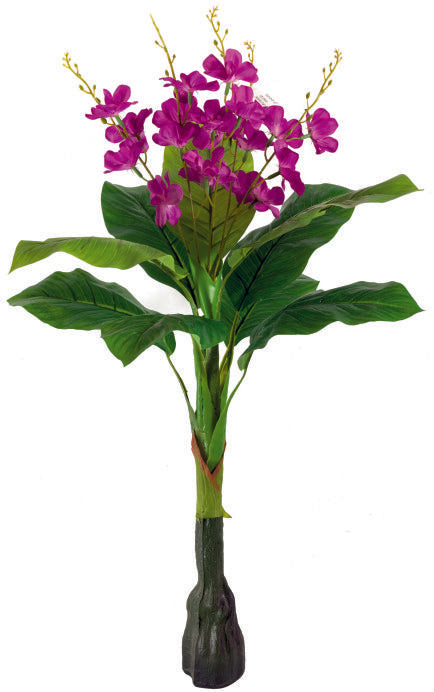 5 Head Small Orchid Tree