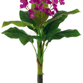 5 Head Small Orchid Tree