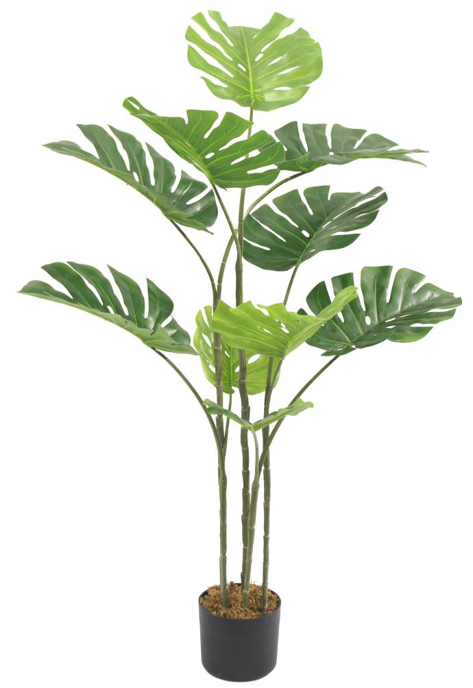 120cm 10 Leaves Monsterra Plant
