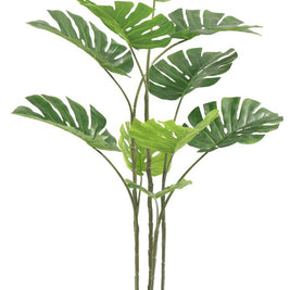 120cm 10 Leaves Monsterra Plant