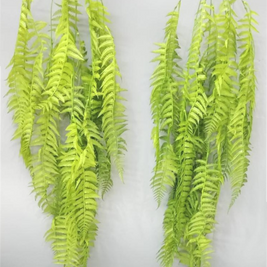 Jumbo Fern Leaf Falling Bush – 100cm