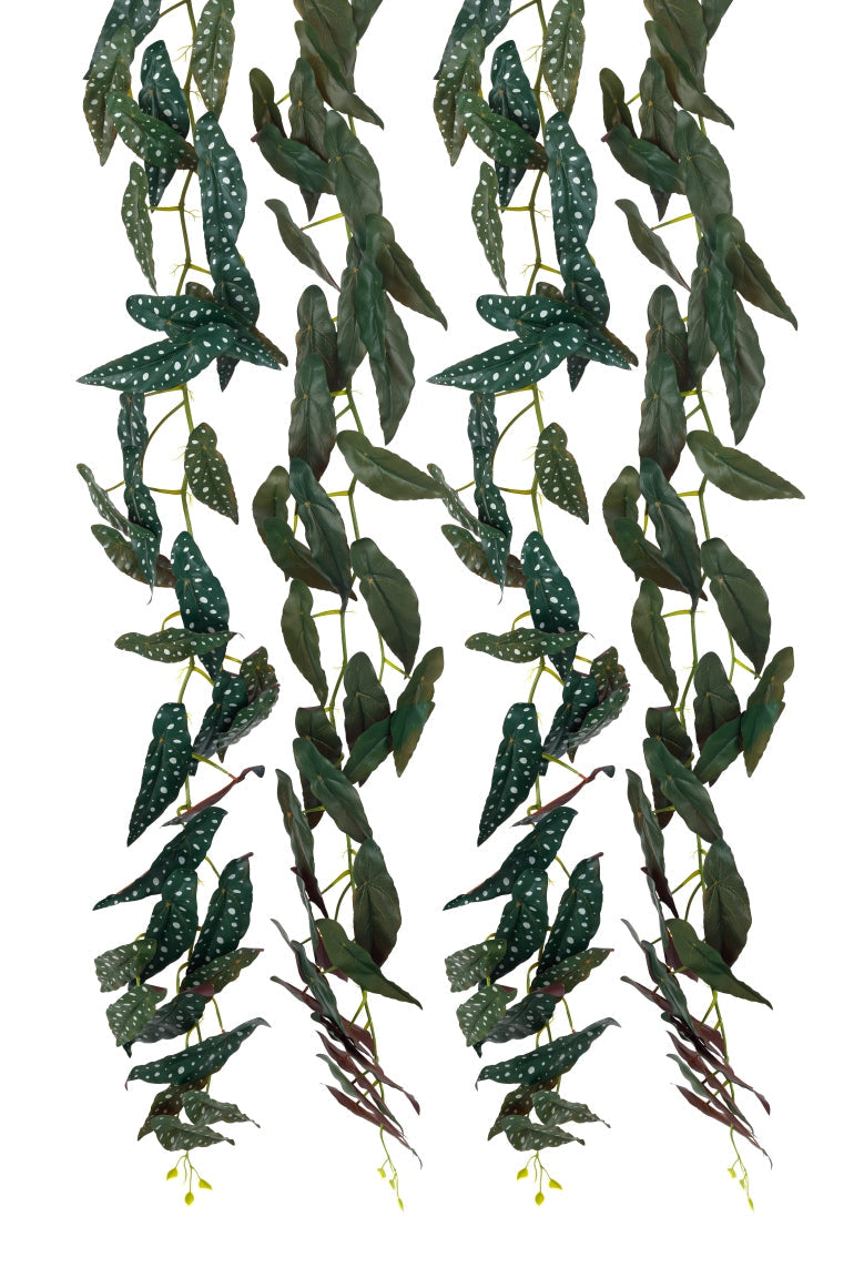 36 Leaves Veil Creeper – 6ft