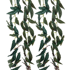 36 Leaves Veil Creeper – 6ft