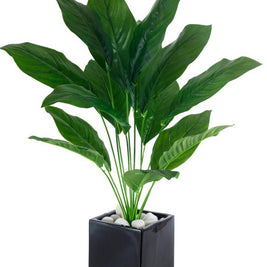 Real Touch 15 Long Leaves Calla Lily Plant