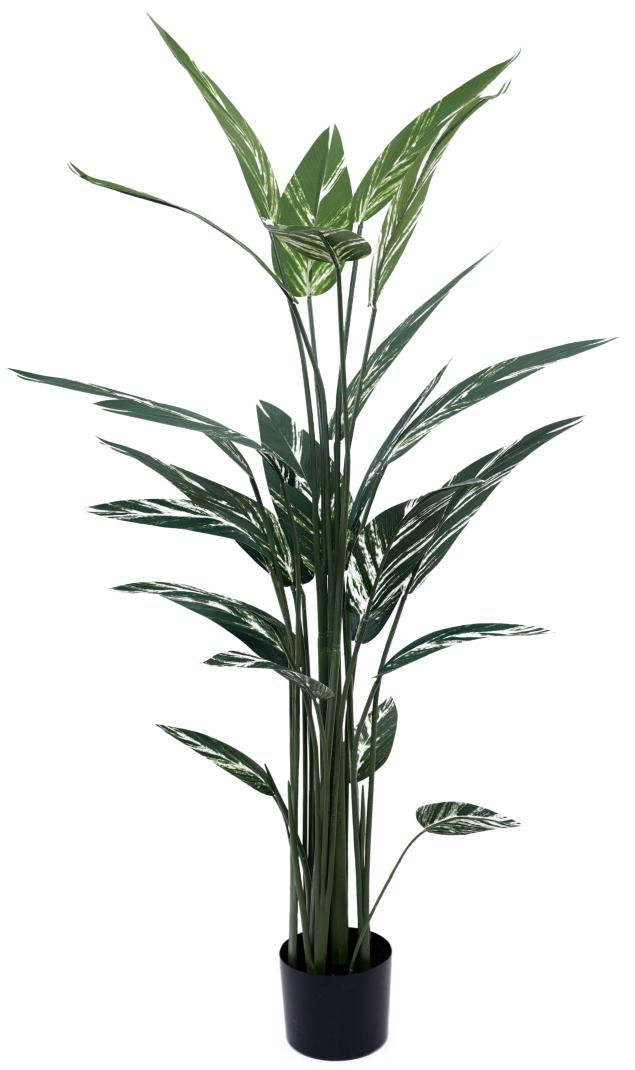 160cm Vericated Bop Tree In Pot