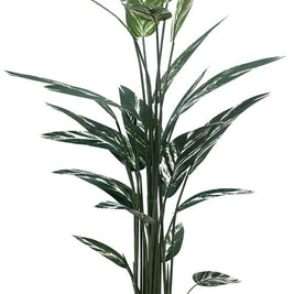 160cm Vericated Bop Tree In Pot