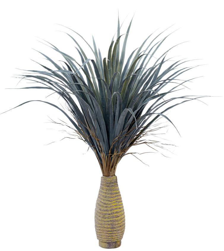 60 Cm Thin Yucca Grass Cactus In Bottle Palm