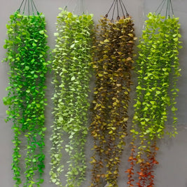 Oval Eucalyptus Falling Creeper – 100cm