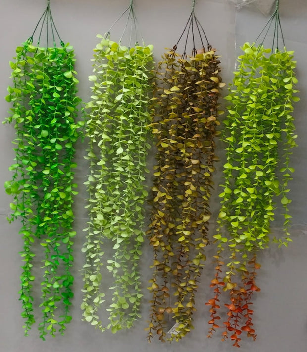 Oval Eucalyptus Falling Creeper – 100cm