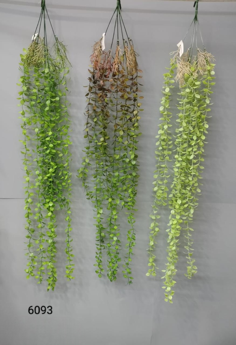 Touch-Me-Not Leaf Falling Creeper – 110cm