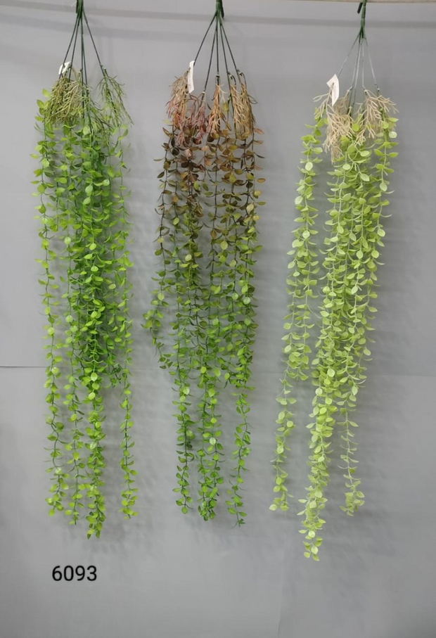 Touch-Me-Not Leaf Falling Creeper – 110cm