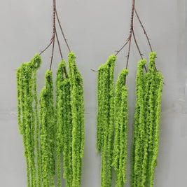 Cloth Roots Falling Stick Creeper – 125cm