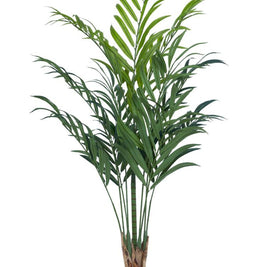 7 ft Long Leaves Palm Tree In Pot