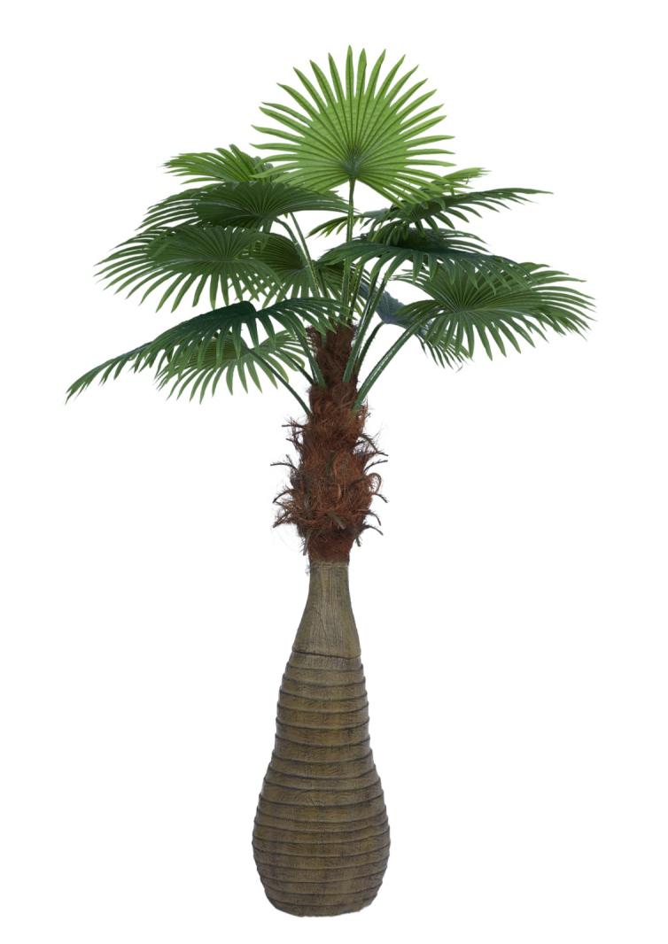6 ft Jumbo Fan Palm Leaves In Bottle Palm