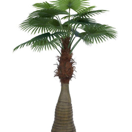 6 ft Jumbo Fan Palm Leaves In Bottle Palm