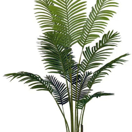 1.6m 12 Leaves Areca Palm Plant in Pot