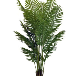 1.8m 18 Leaves Areca Palm Plant in Pot