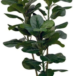 1.5m 70 Leaves Fiddle Leaf Plant in Pot