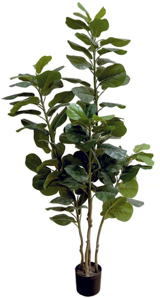 1.8m 112 Leaves Fiddle Leaf Plant in Pot