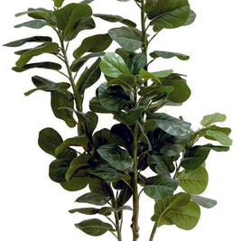 1.8m 112 Leaves Fiddle Leaf Plant in Pot