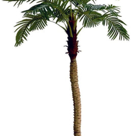 2.4m 15 Leaves Coconut Palm Plant