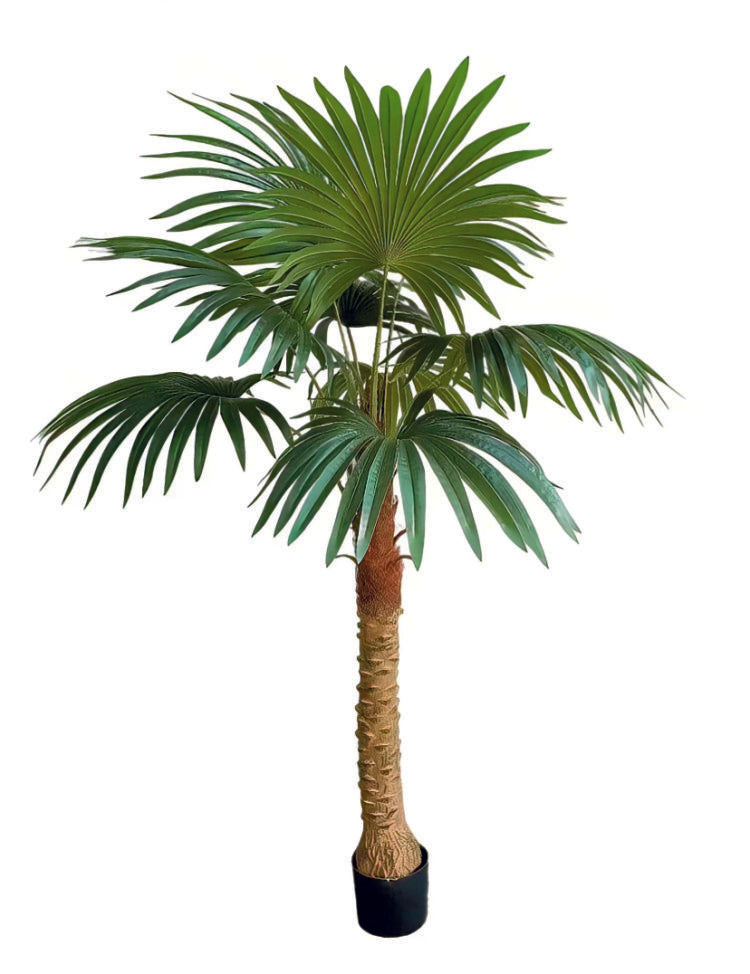 1.5m 9 Leaves Fan Coconut Palm Plant