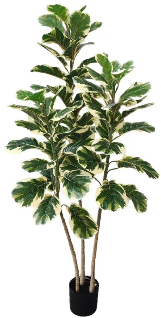 1.5m Vericated Fiddle Leaf Plant in Pot