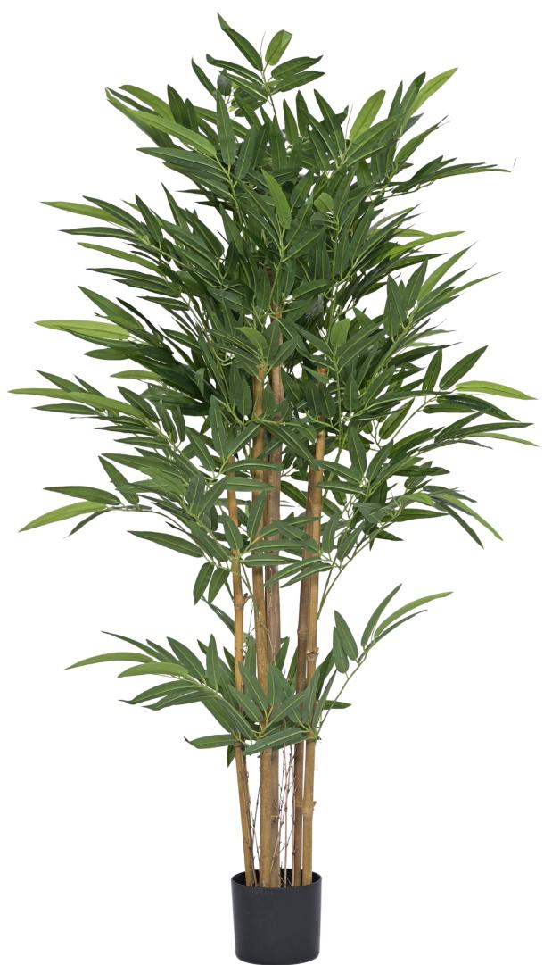 1.5m Big Leaves Bamboo In Pot