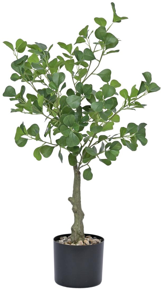 Real Touch Heart Shape Ficus Plant In Pot