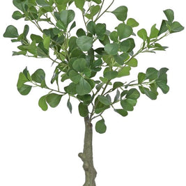 Real Touch Heart Shape Ficus Plant In Pot