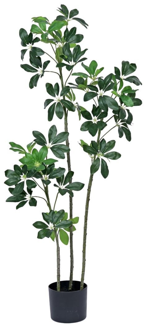 Real Touch Schefflera Plant In Pot