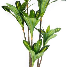 6 Head Real Touch Yellow Green Dracenna Yucca Plant