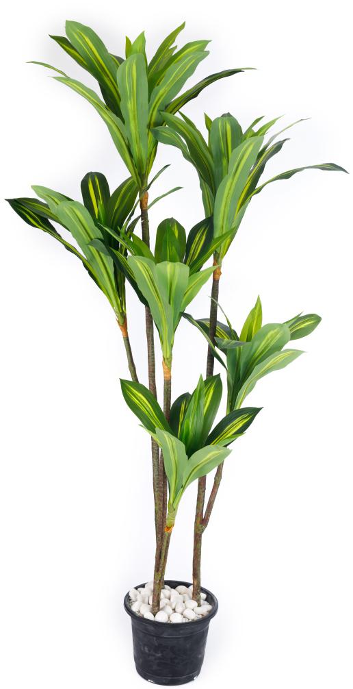 6 Head Real Touch Yellow Green Dracenna Yucca Plant