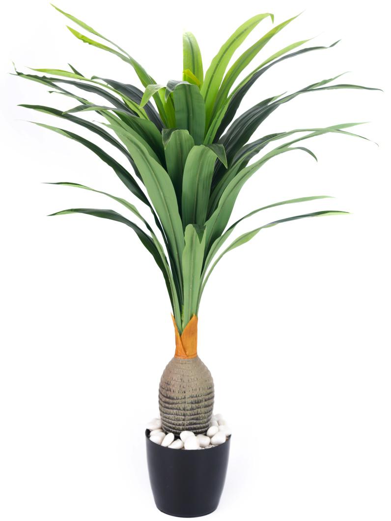 Real Touch Bottle Dracenna Plant