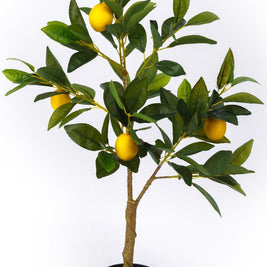 Real Touch Lemon Tree in Pot