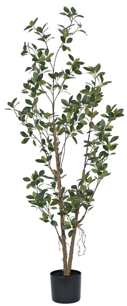 Real Touch Mini Ficus Plant In Pot