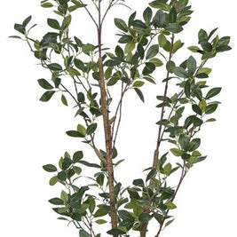 Real Touch Mini Ficus Plant In Pot