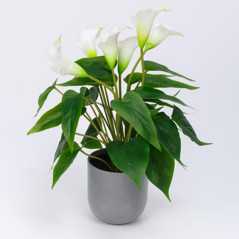6 Rubber Calla Lily with 30 Real Touch Leaves in Pot