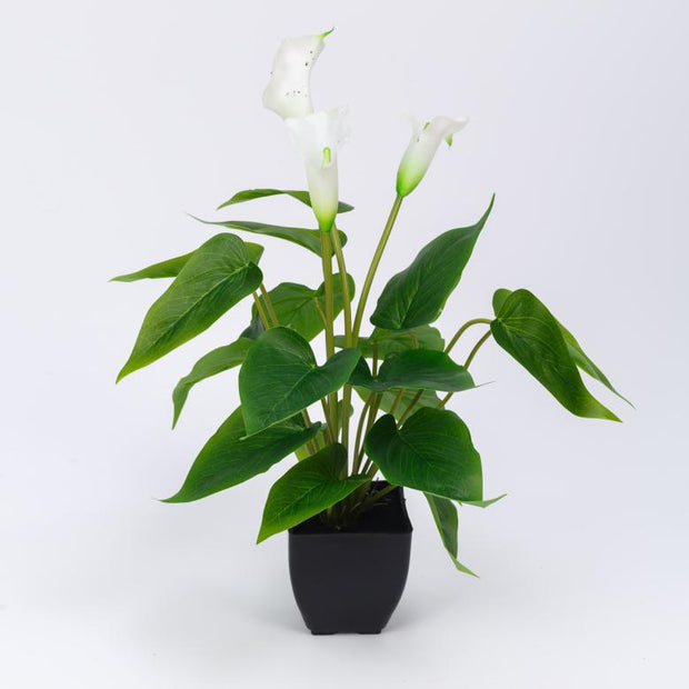 3 Rubber Calla Lily with 18 Real Touch Leaves in Pot