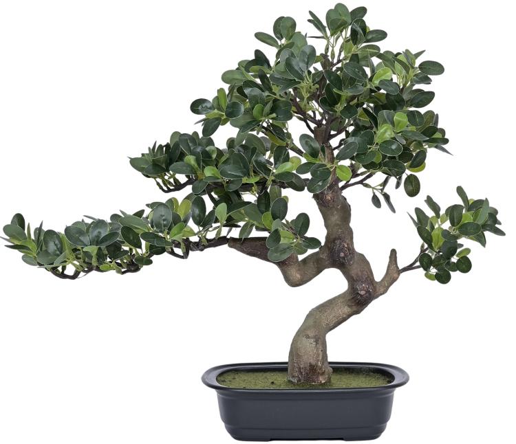 Natural Touch Bonsai Plant In Pot