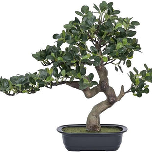 Natural Touch Bonsai Plant In Pot